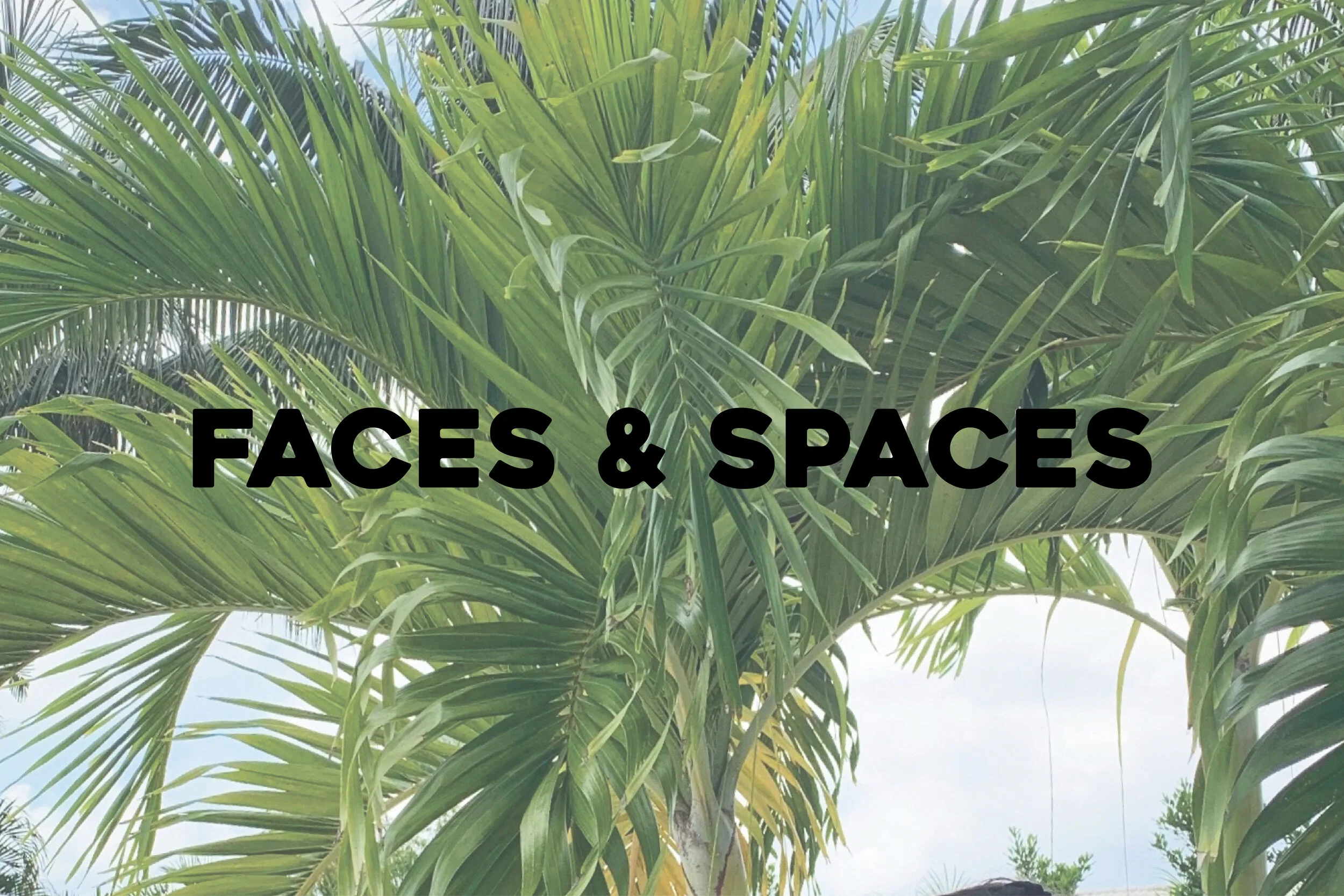 Faces &amp; Spaces