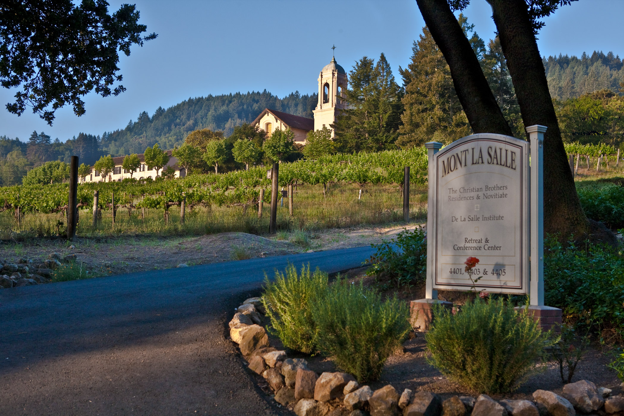 MLaSalle-8717-Edit.jpg