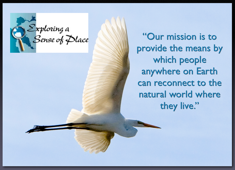 Screen Shot 2016-04-01 at 9.02.09 AM.png