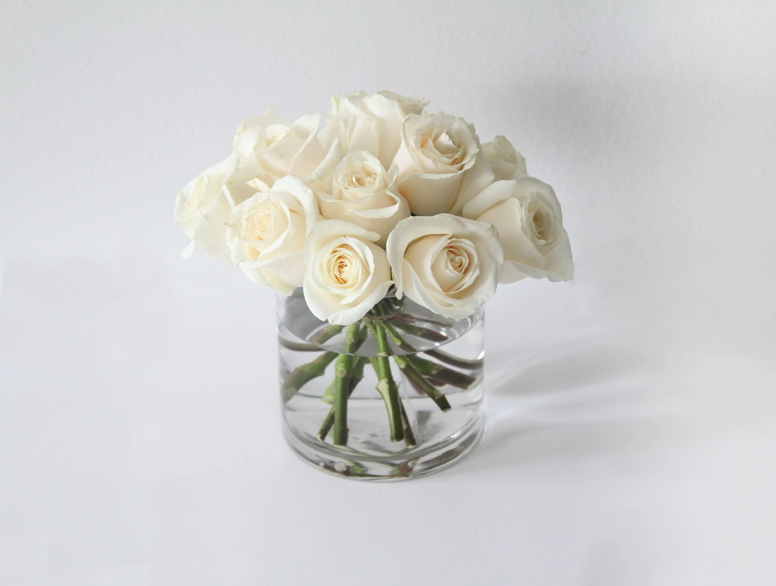 White Roses Delivery Miami