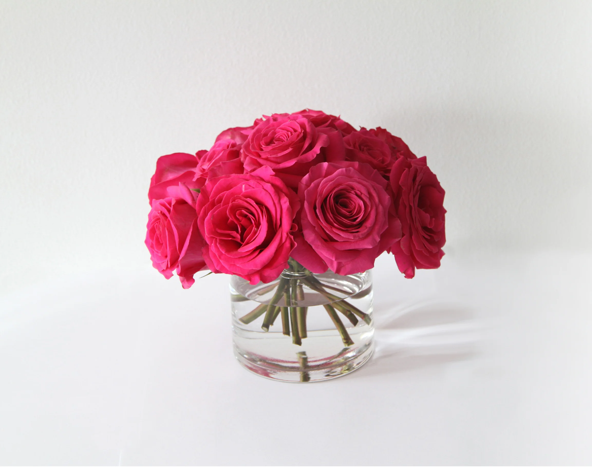 Fresh Roses Miami