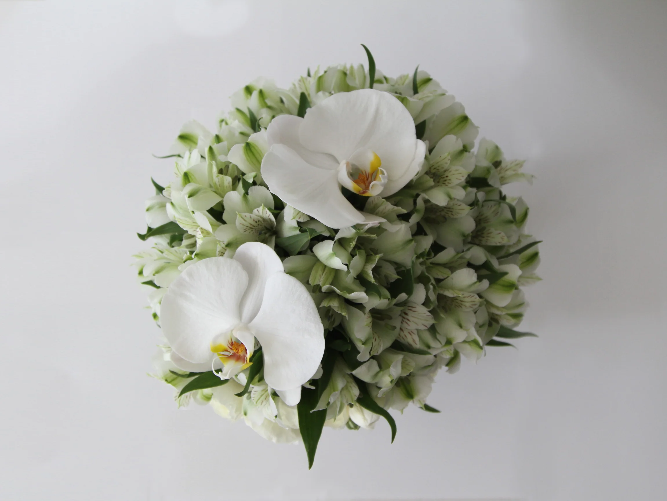 White Luxury Flowers