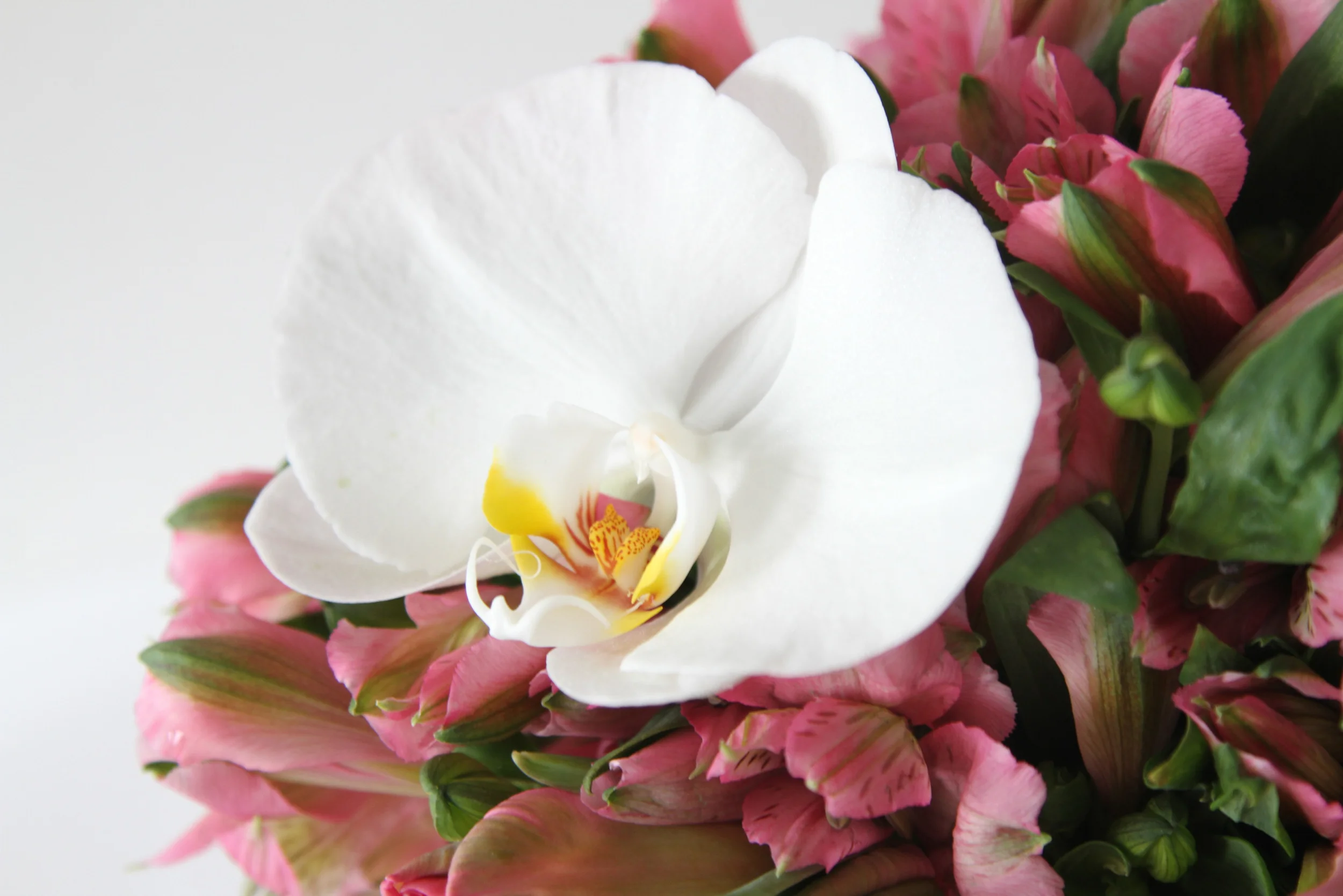 pink alstroemeria bouquet