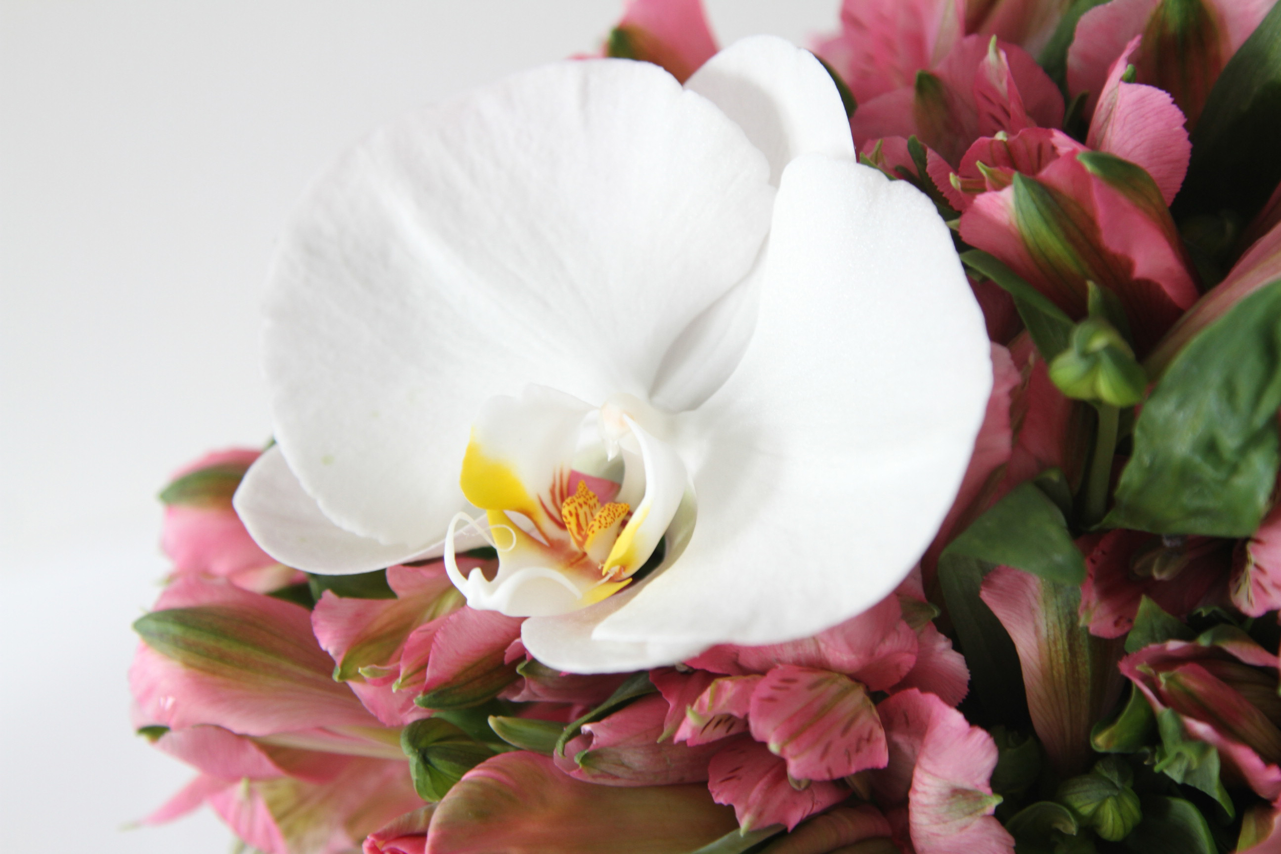 pink alstroemeria bouquet