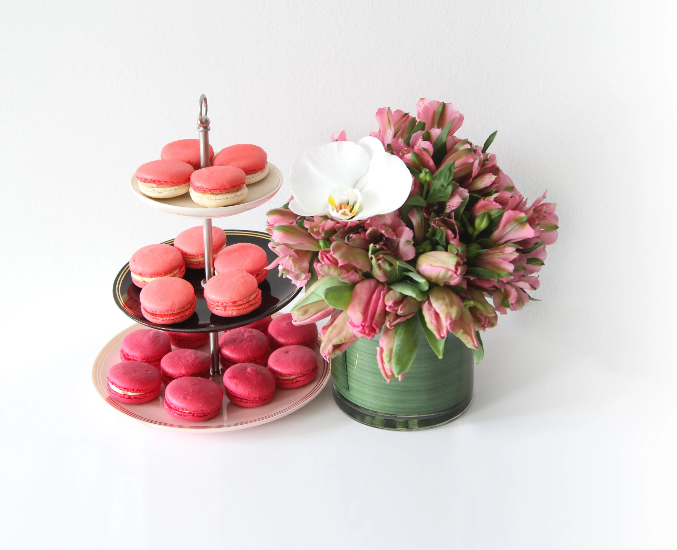 Pink Tulip Flowers