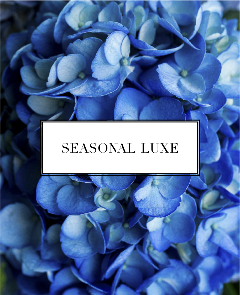 season lux blu hydro.png
