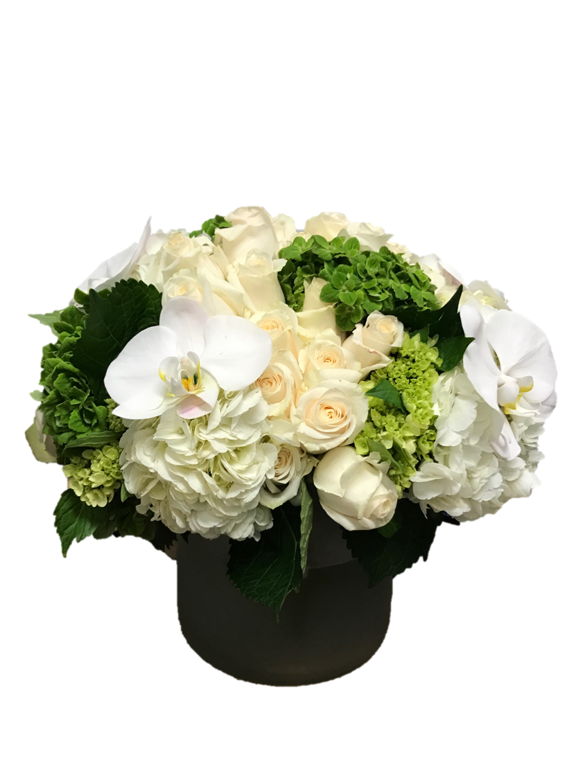 white and green luxe website.png