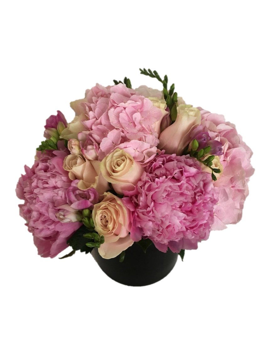 pink5.png