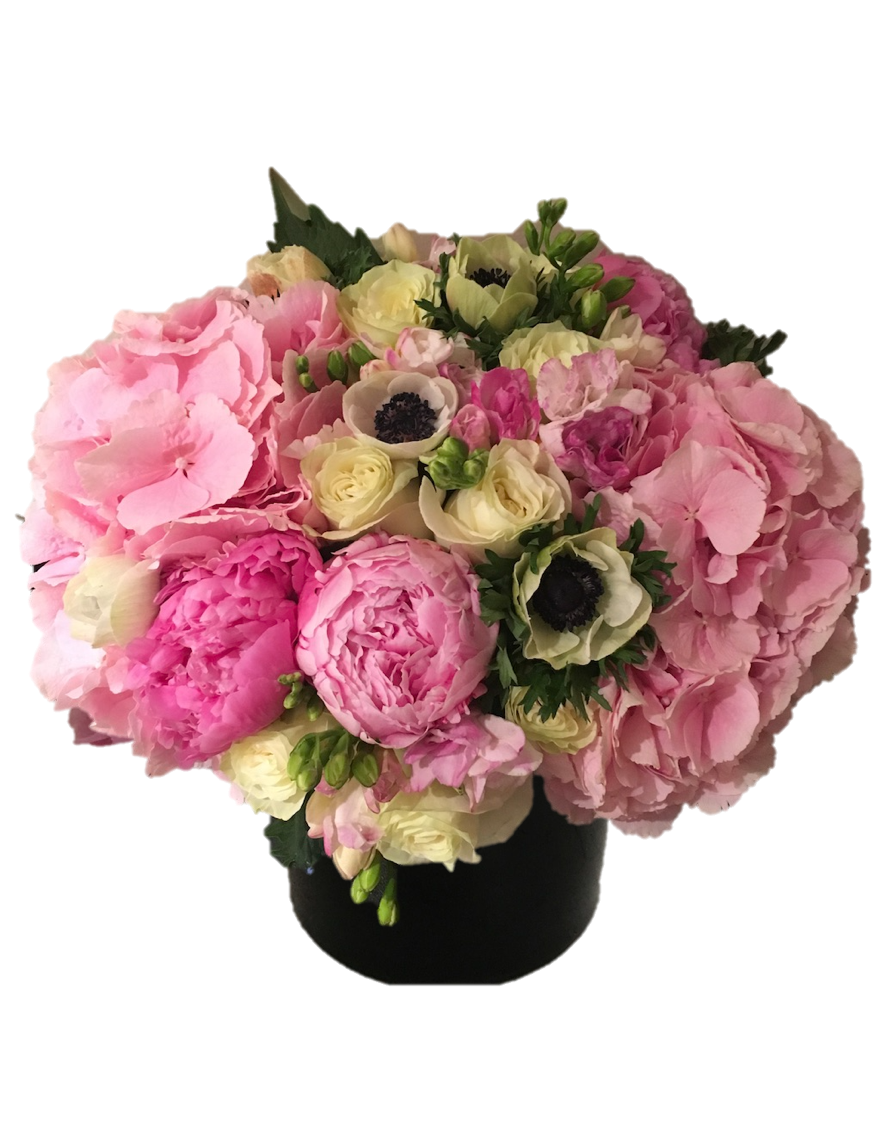 pink6.png