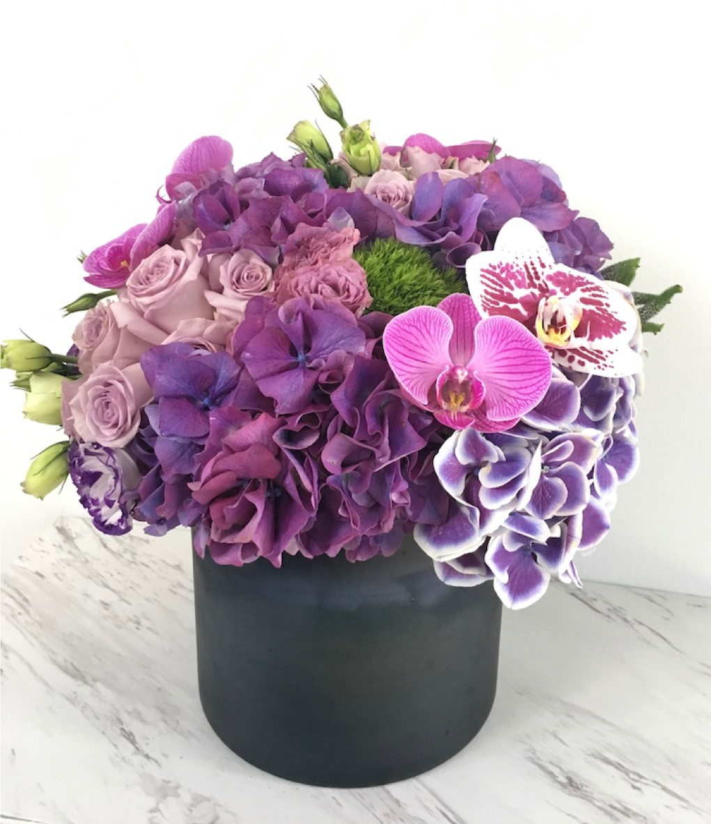 purple2.png