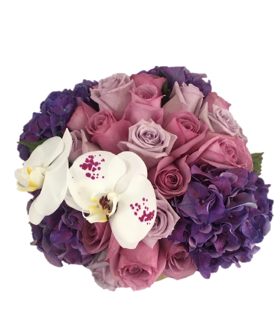 purple5.png