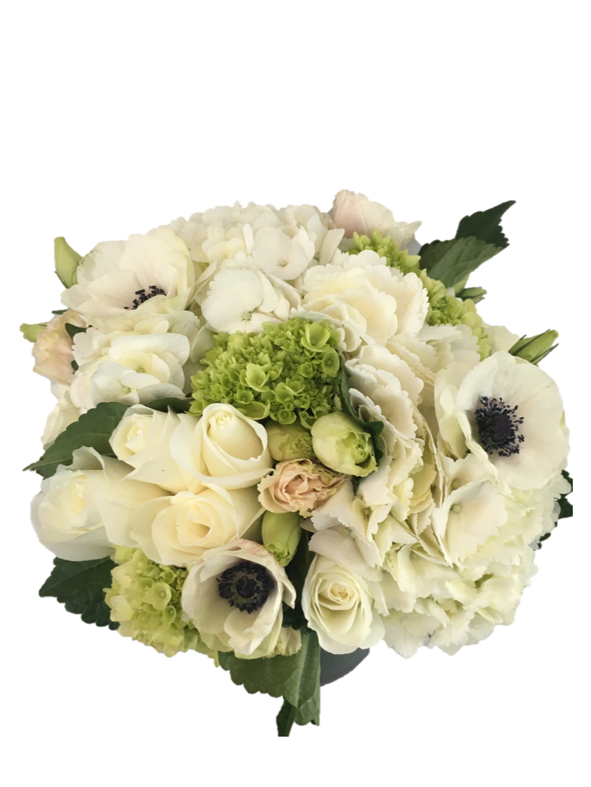 white3.png