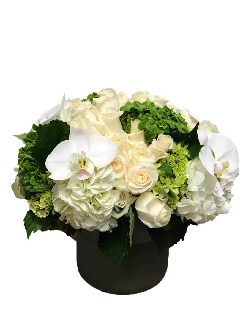 white4.png