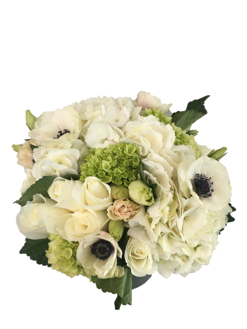 white8.png