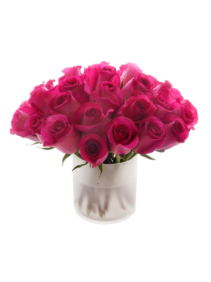rosedweb1.png
