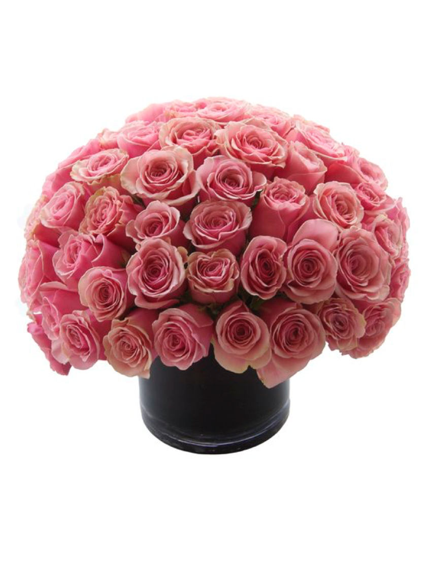rosesweb3.png