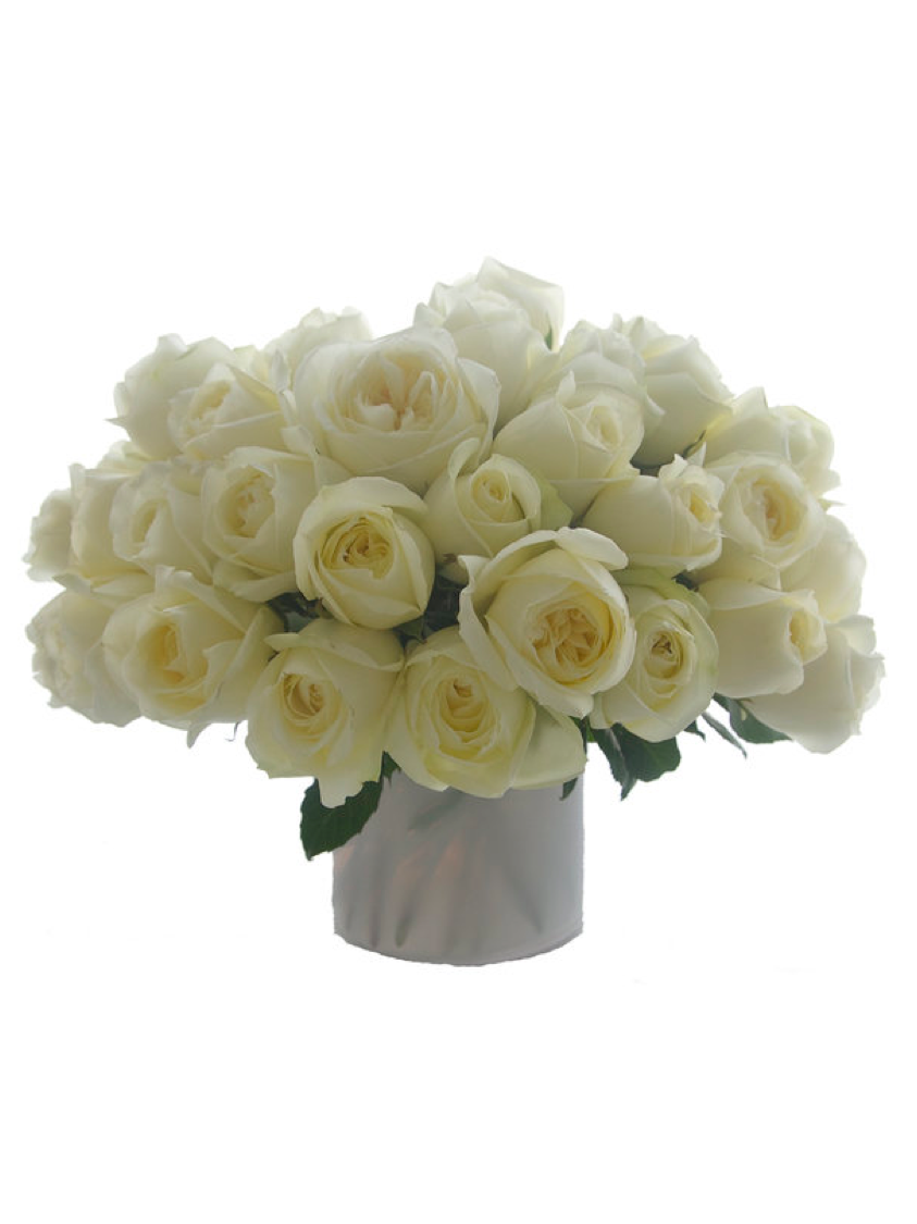 rosesweb4.png