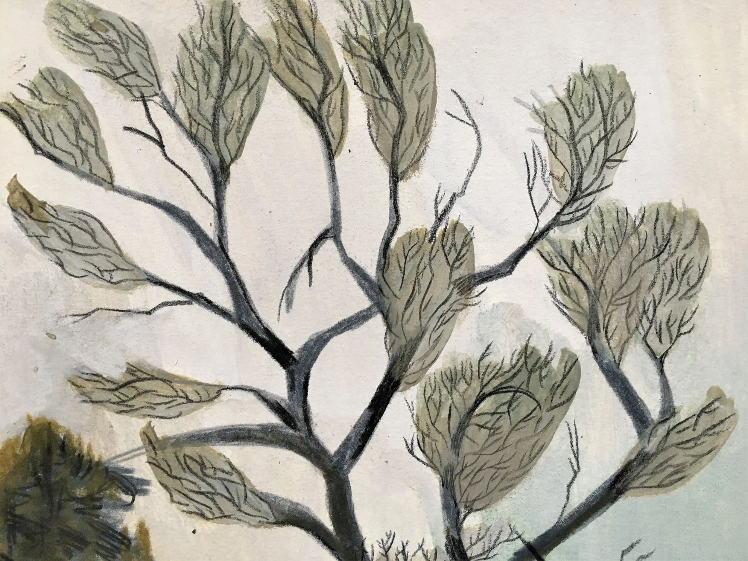 mixed media landscape drawing