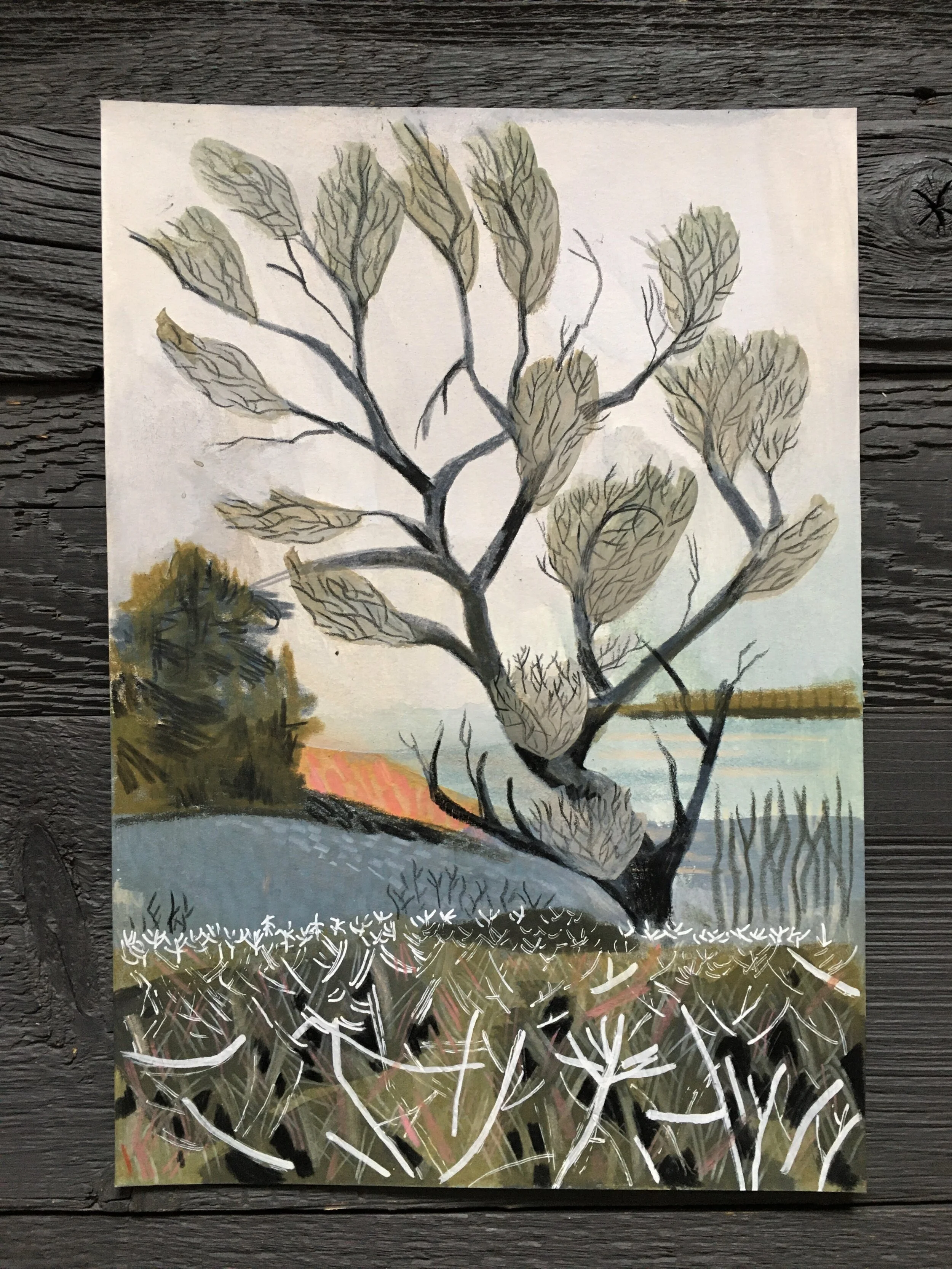 Hoarfrost on the trees in Wales