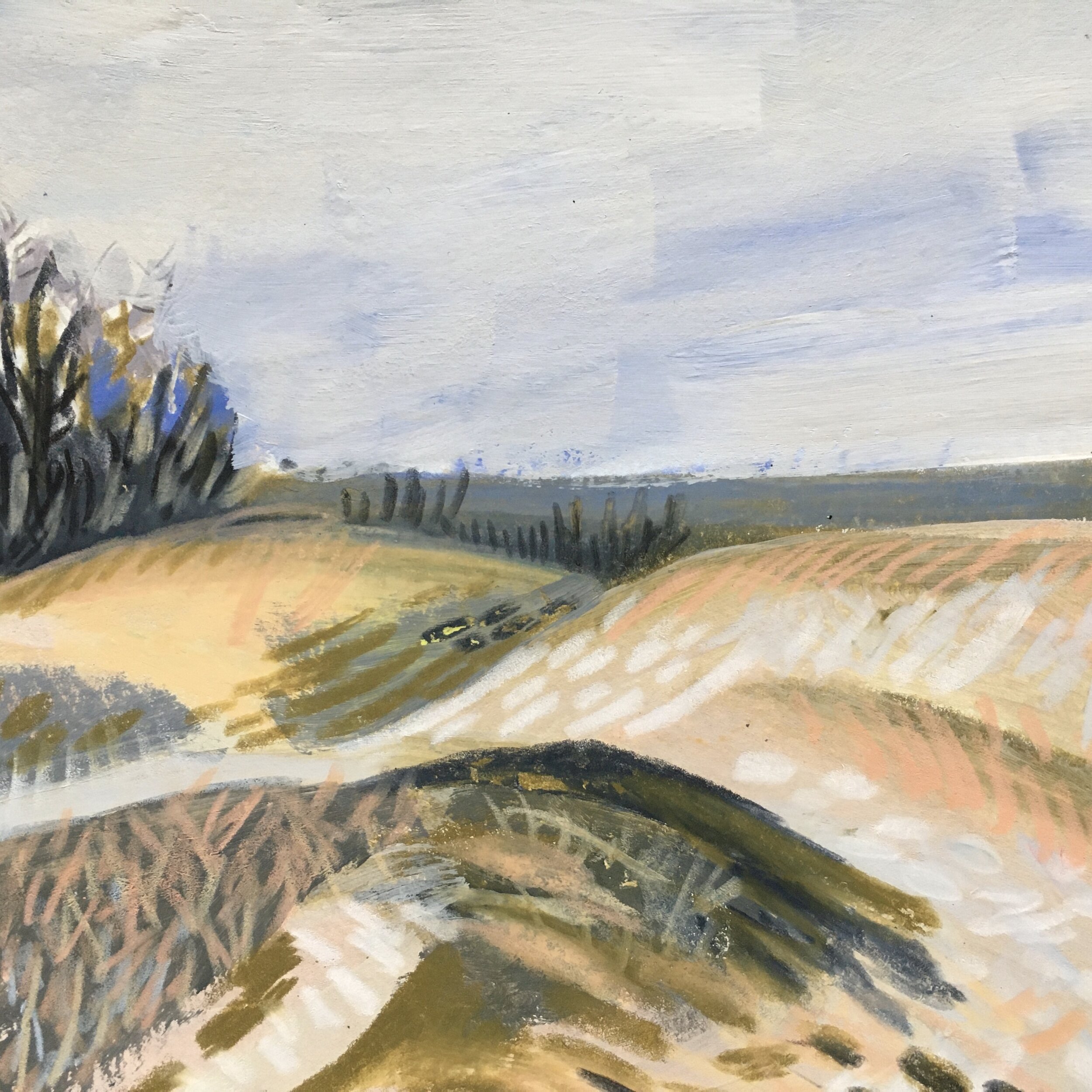 Llanemlin Wood Iron Age Hillfort