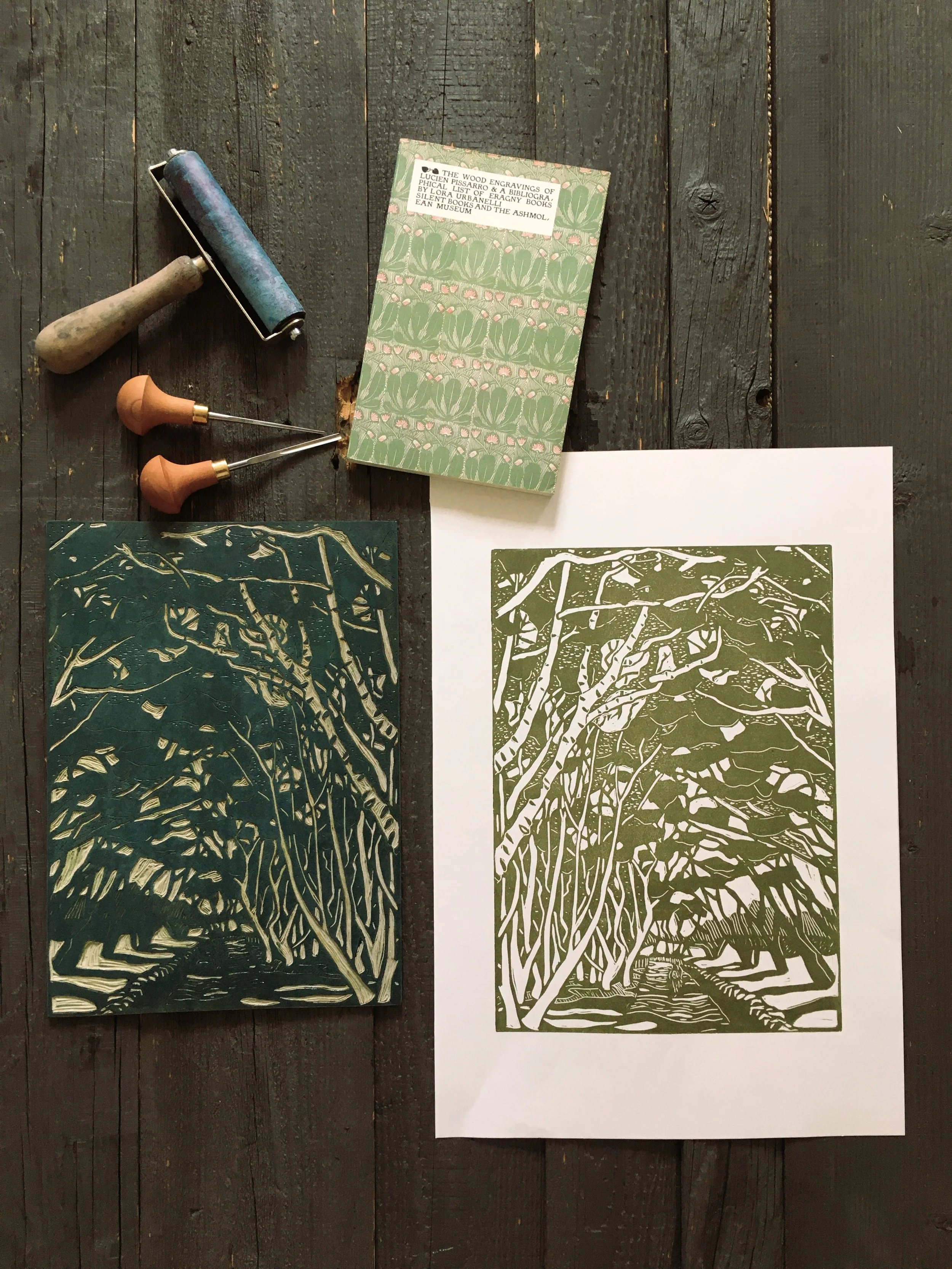 evening walk durlston flatlay.JPG