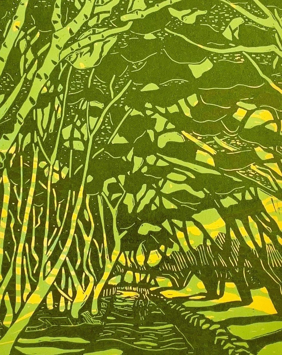 evening light durlston_close up_green.JPG