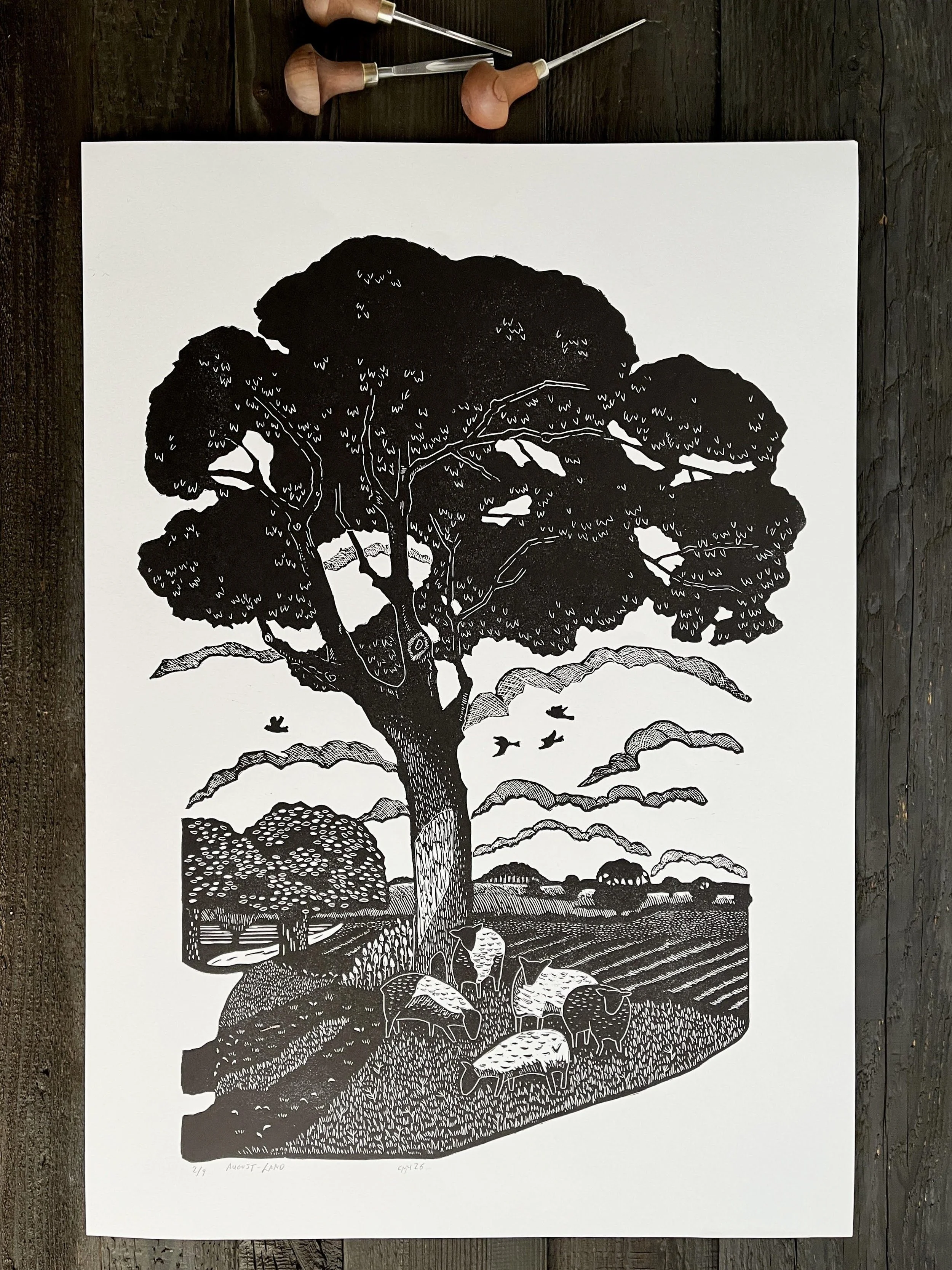 August-Land