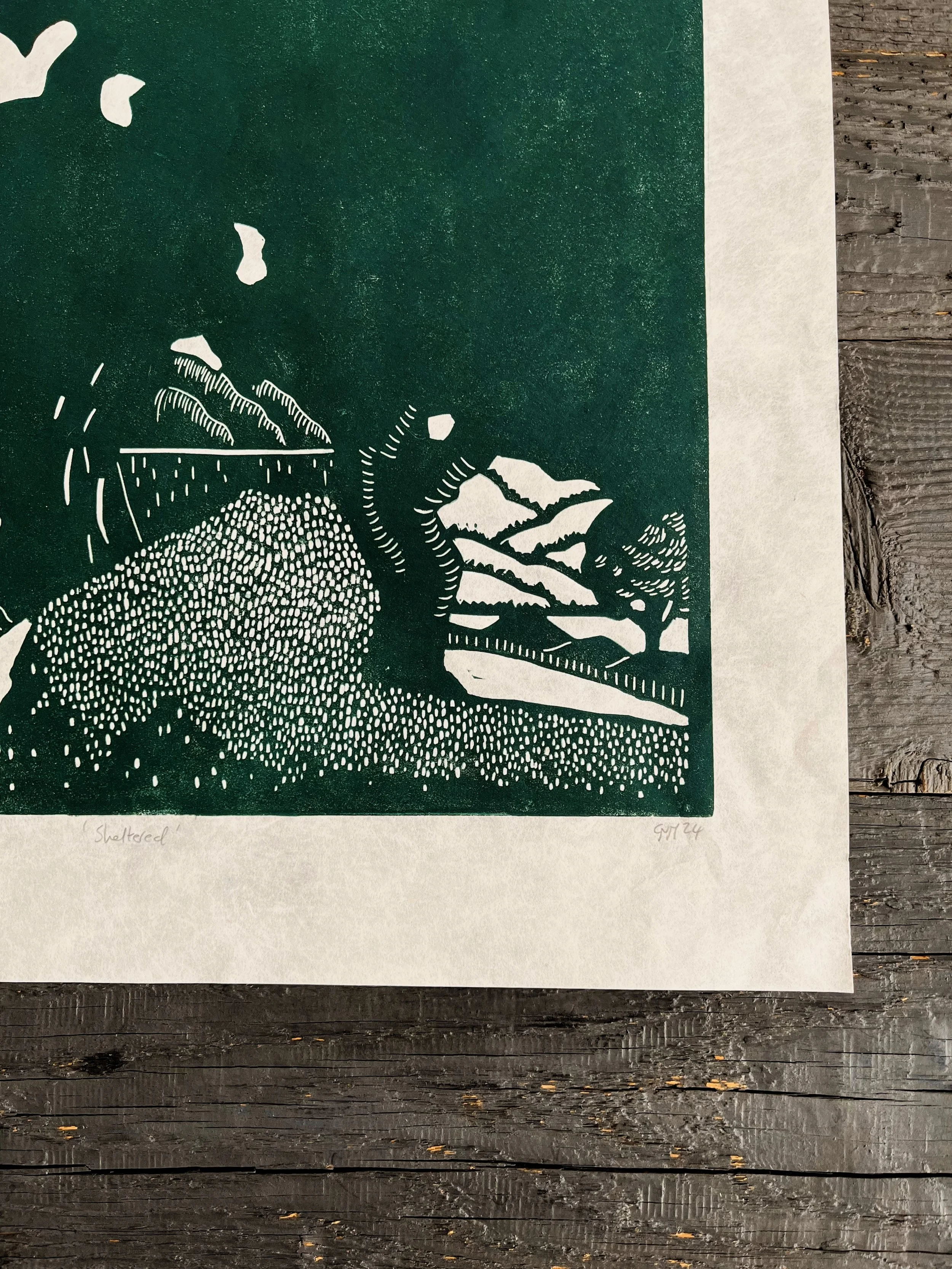 close up sheltered_flatlay.jpg