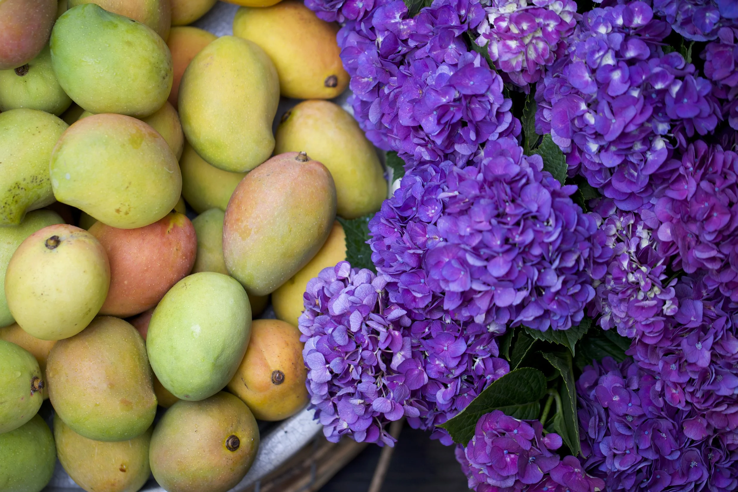 Speech: Australia’s Asian Future Unlocked: Seizing the Opportunities of the Asian Century