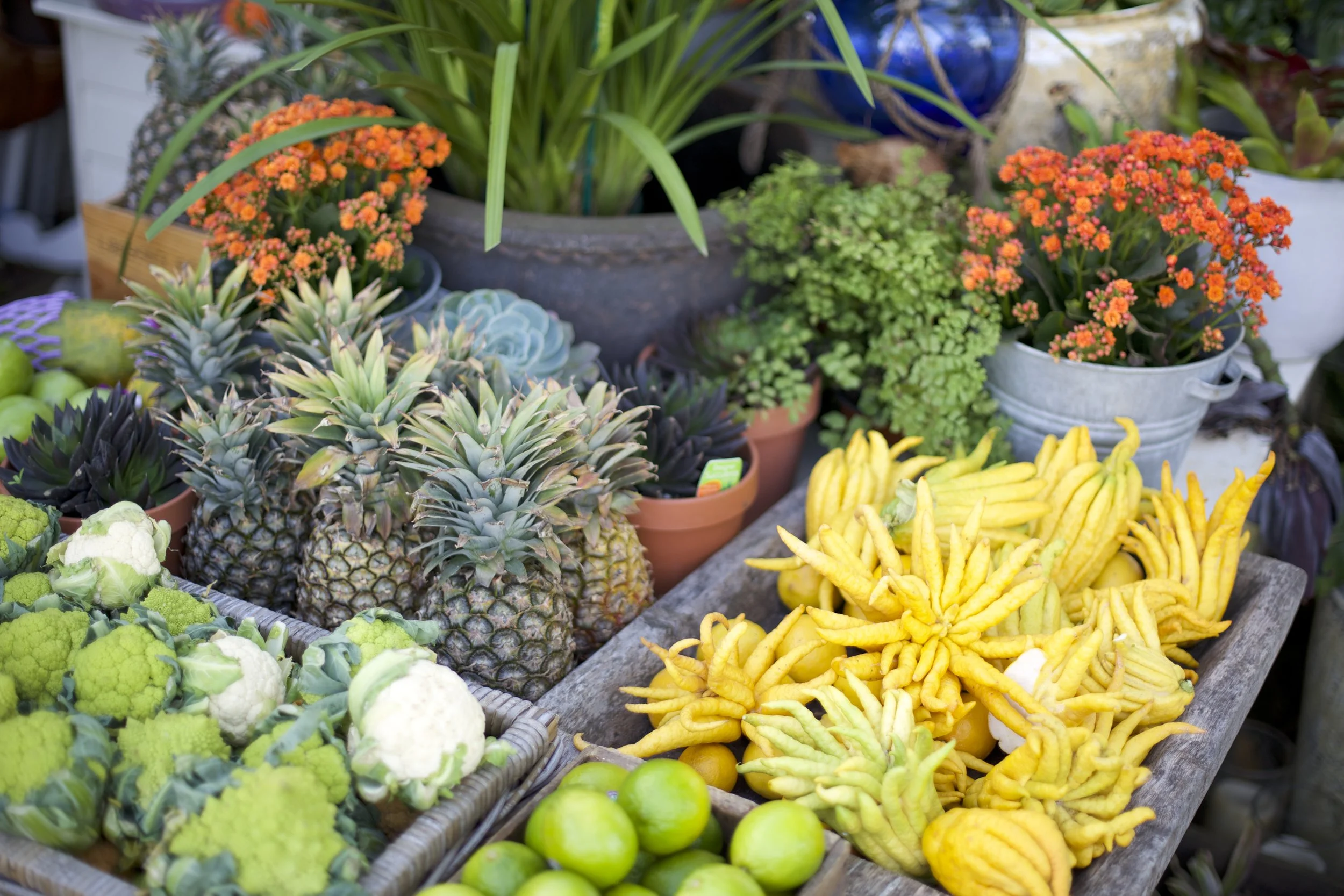 Regional leaders should turn to China to turn US, says Andrew Robb