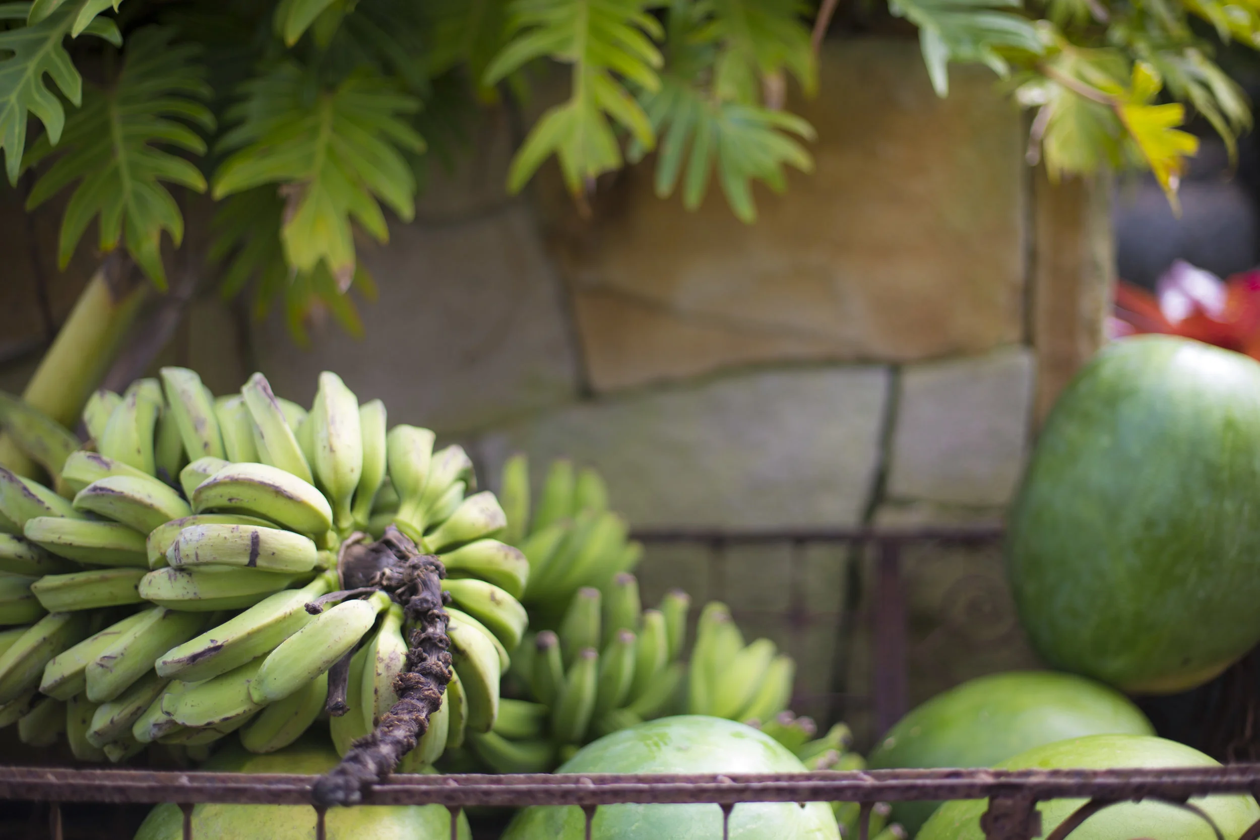 Fruit growers juice the benefits of Free Trade Agreements