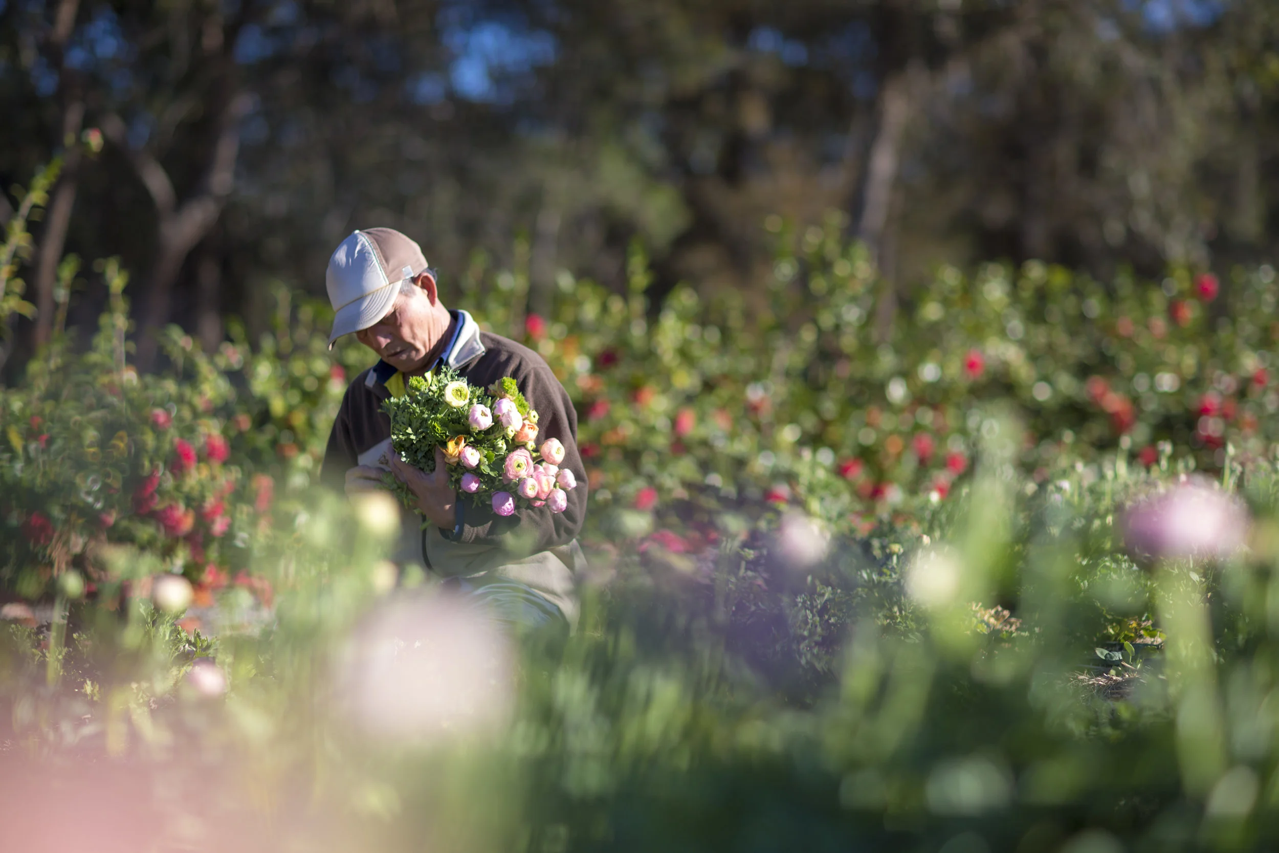 Foreign investment: Normalisation to occur