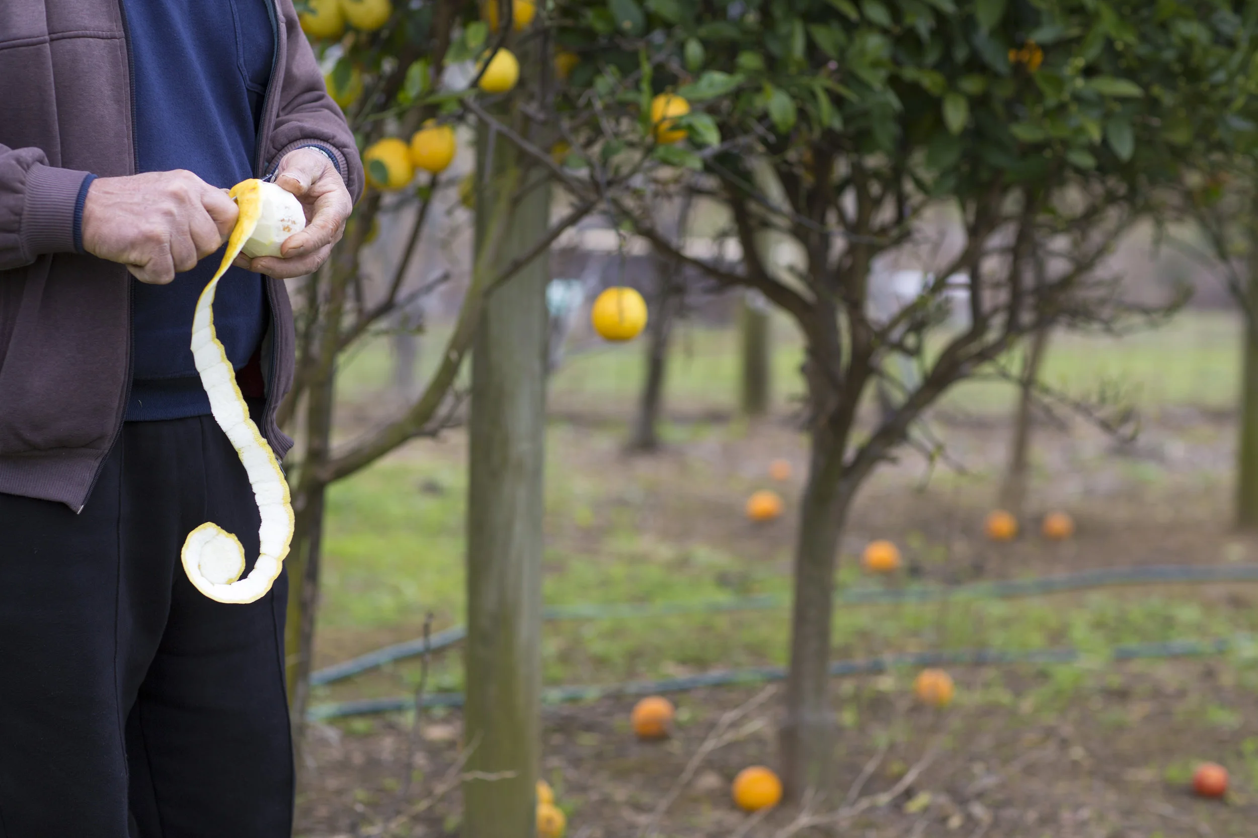 Co-operation is best route to mutual prosperity for our region