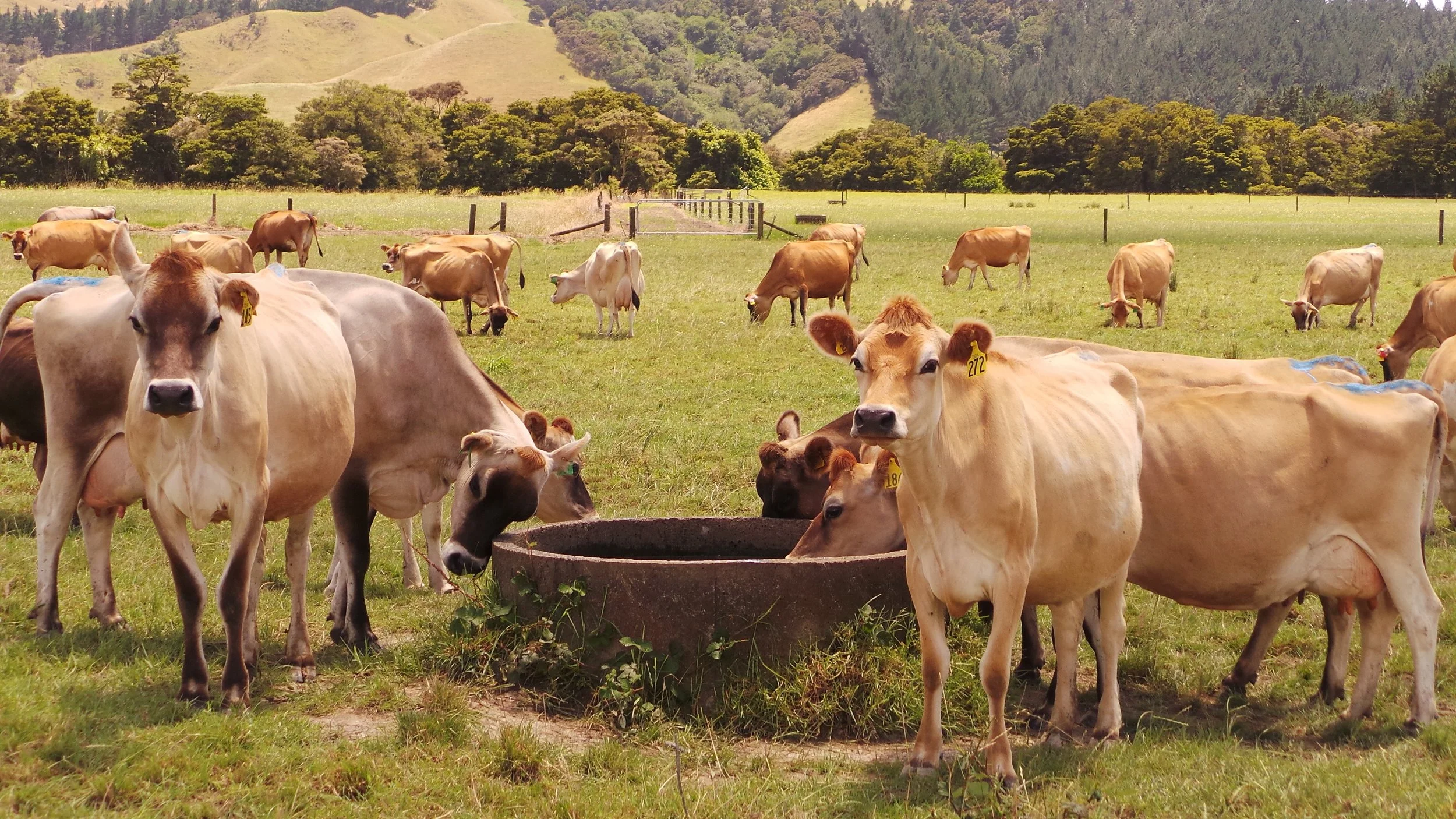 Address to the 9th China Third-Party Testing Laboratory Development Forum and Exhibition 