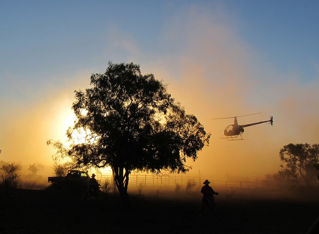 Aussie farmers eye Chinese meat markets