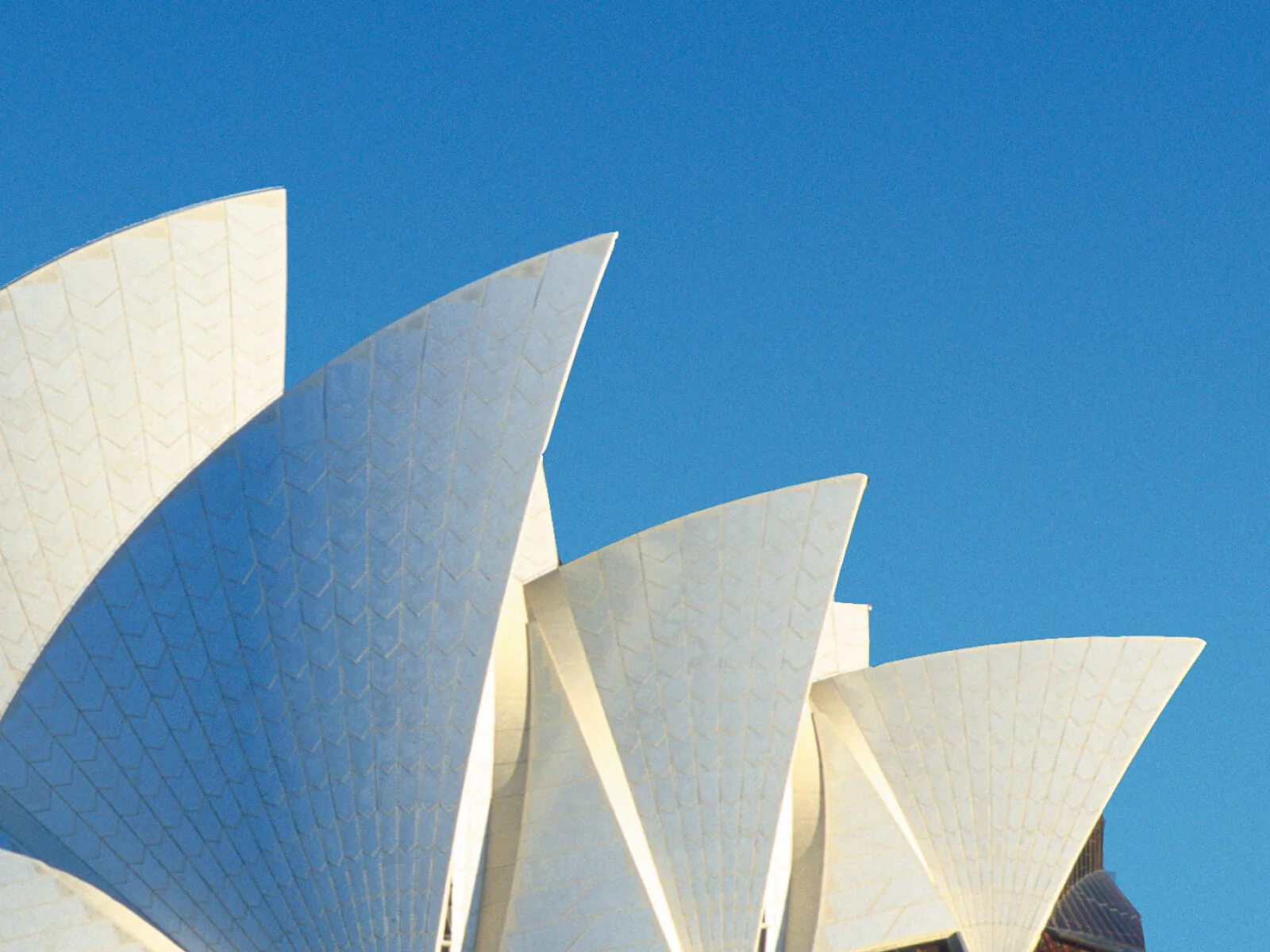 Summit to boost ties between Chinese and Australian entrepreneurs