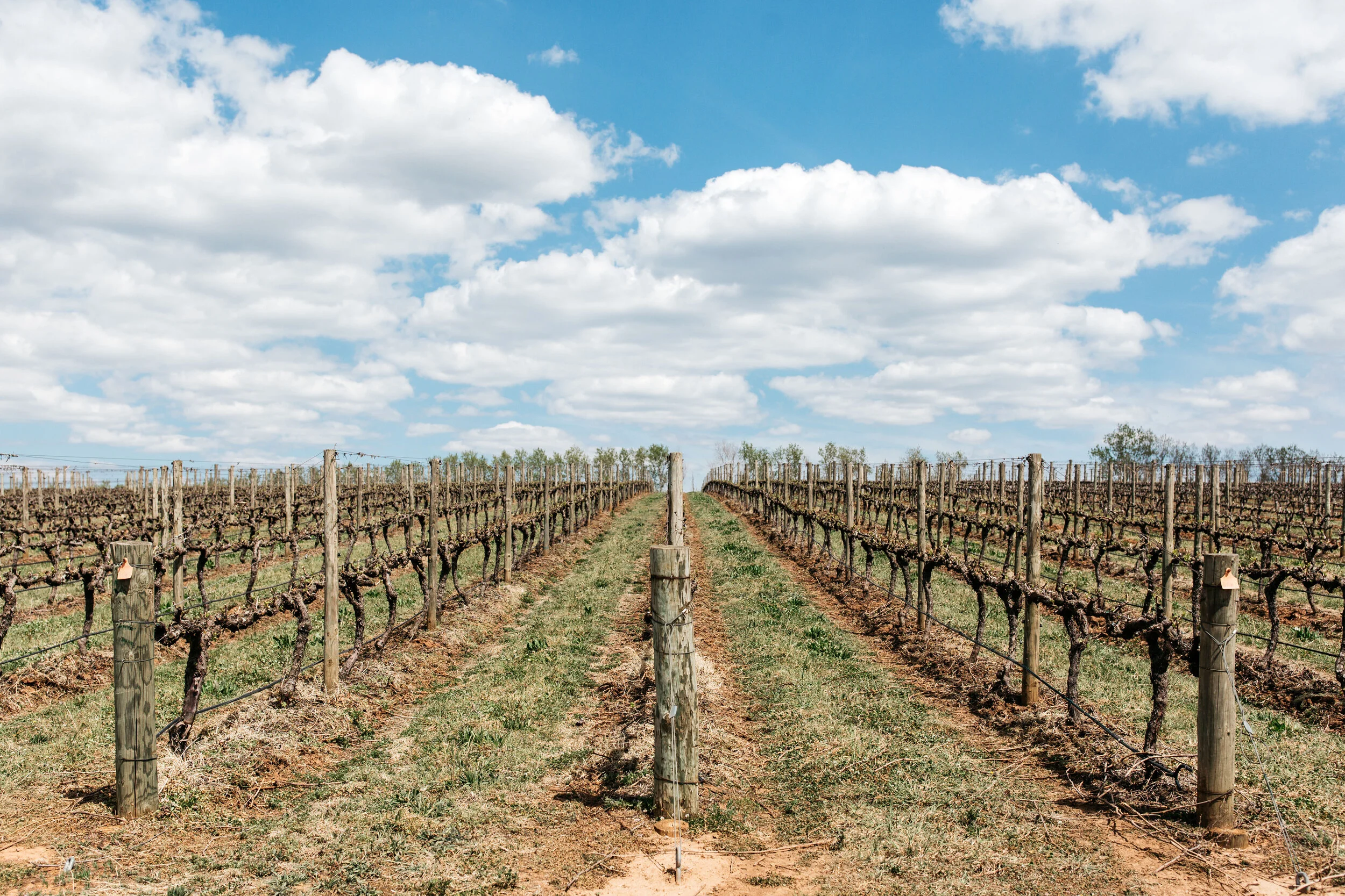 Australia and China: There is always a way forward