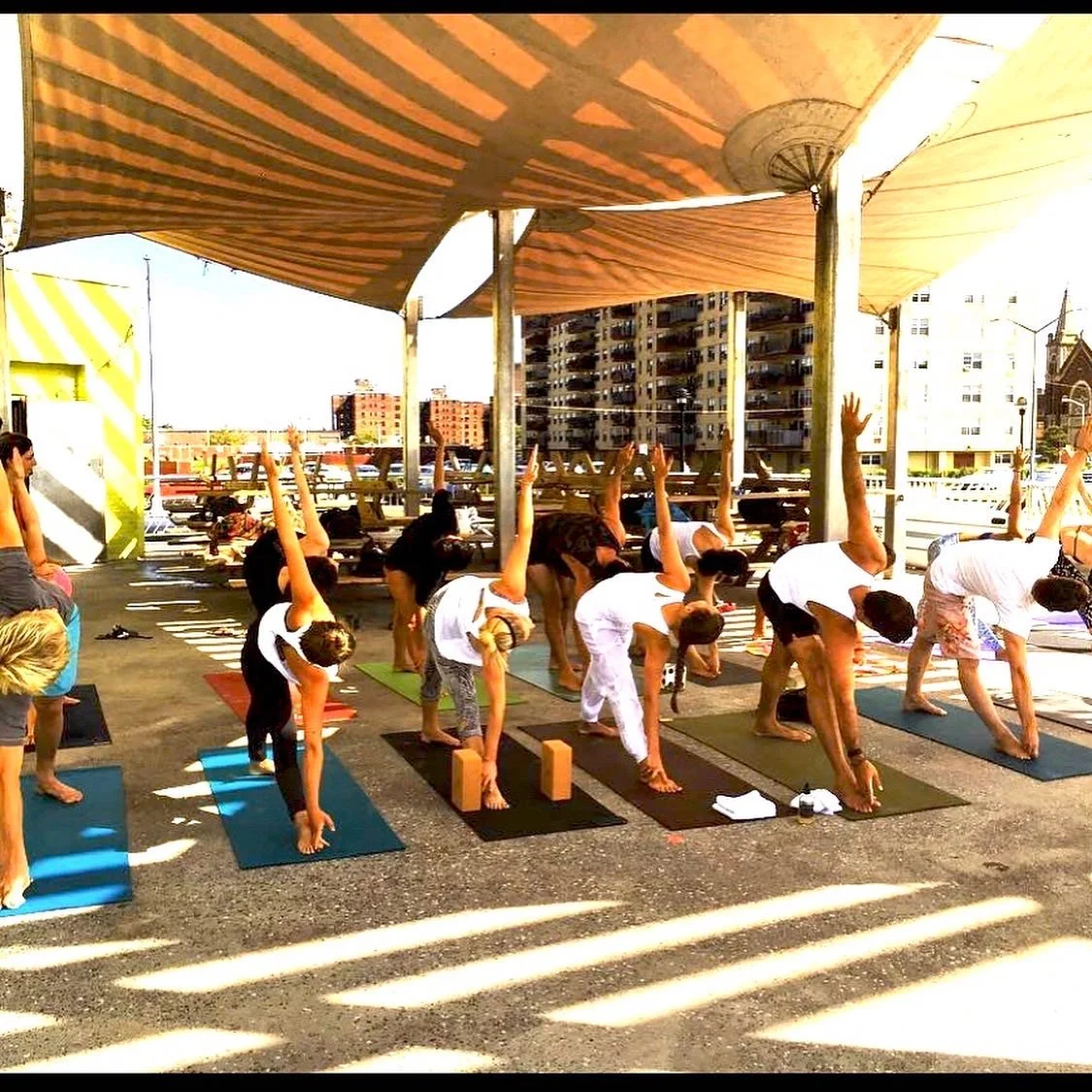 Miriam and Hachi teaching on Boardwalk 