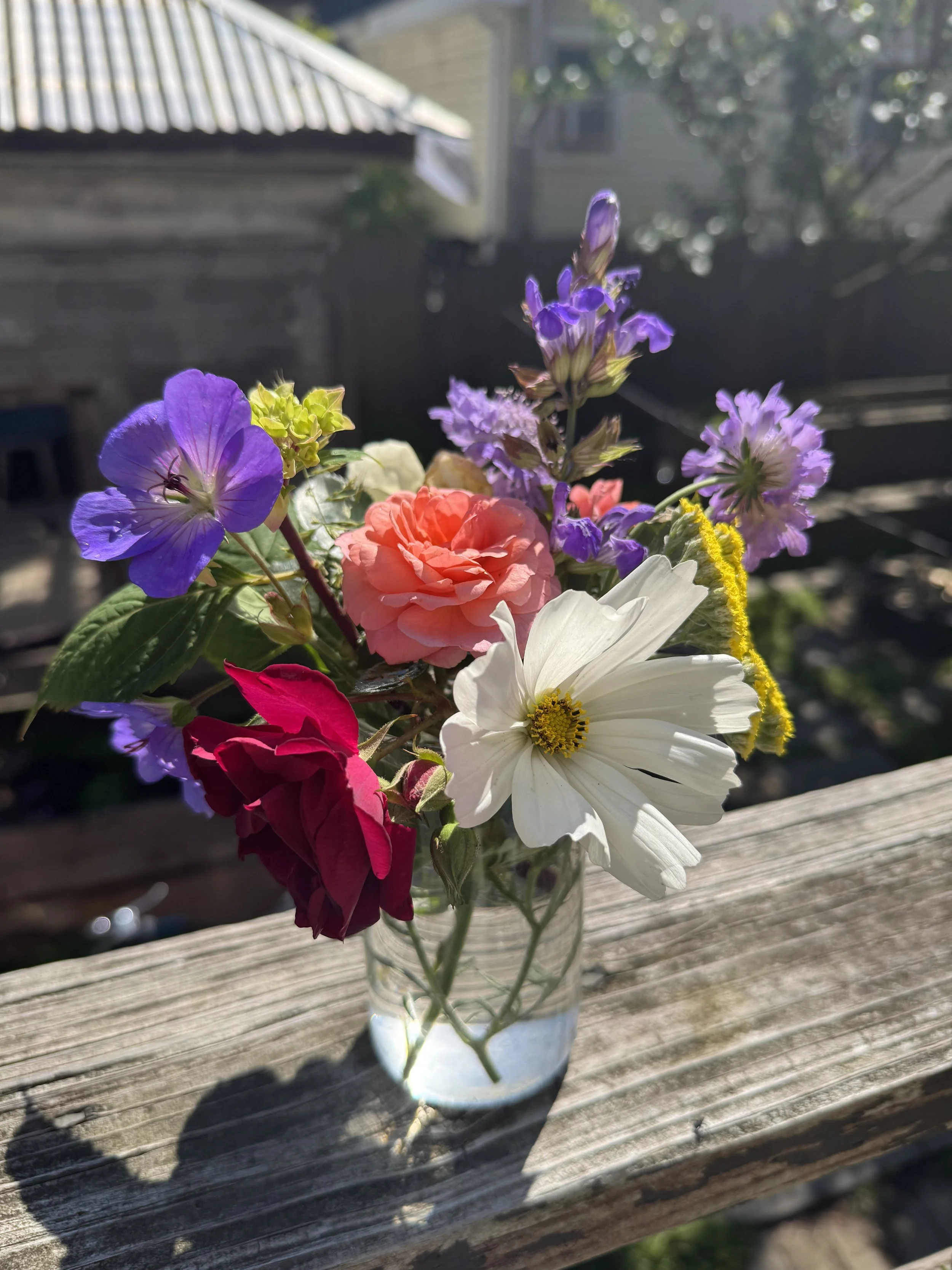 Colorant Solstice Dinner