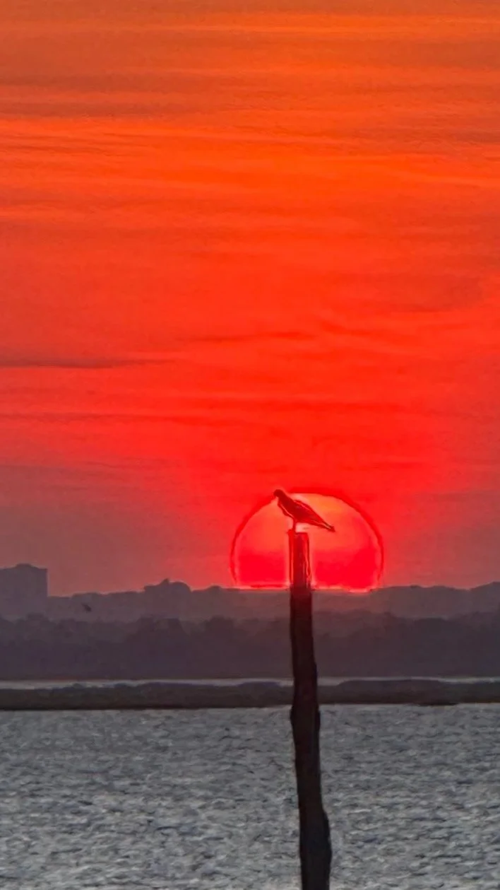 sunset scream at shoreline gathering