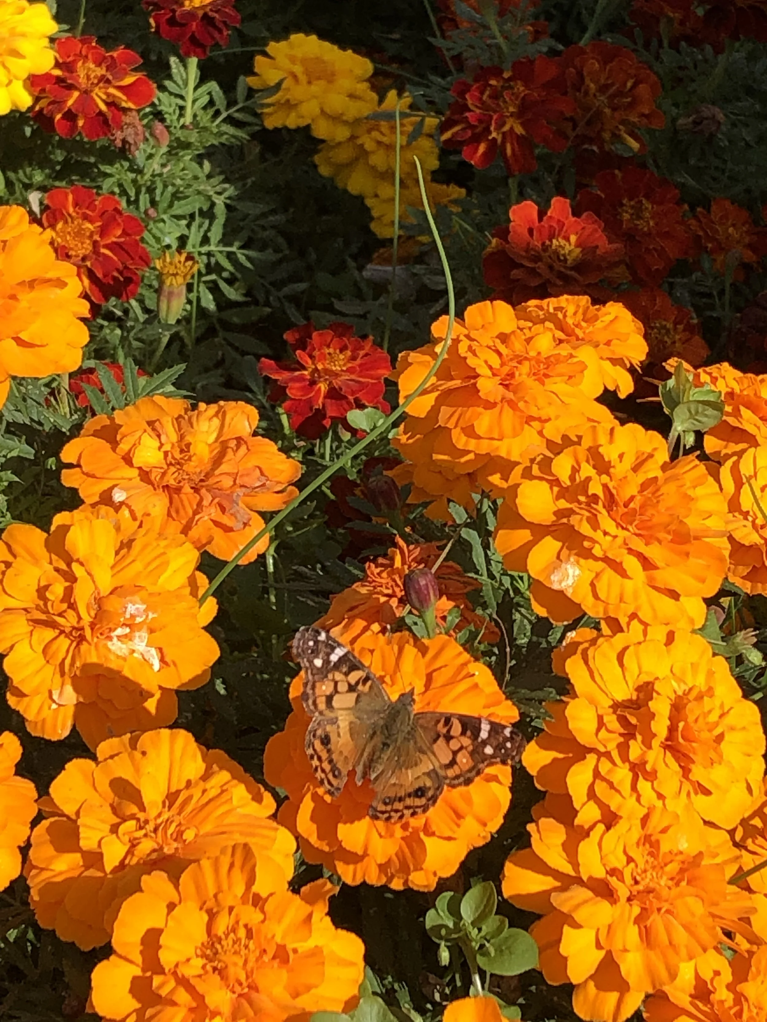 Fall in the Rockaways