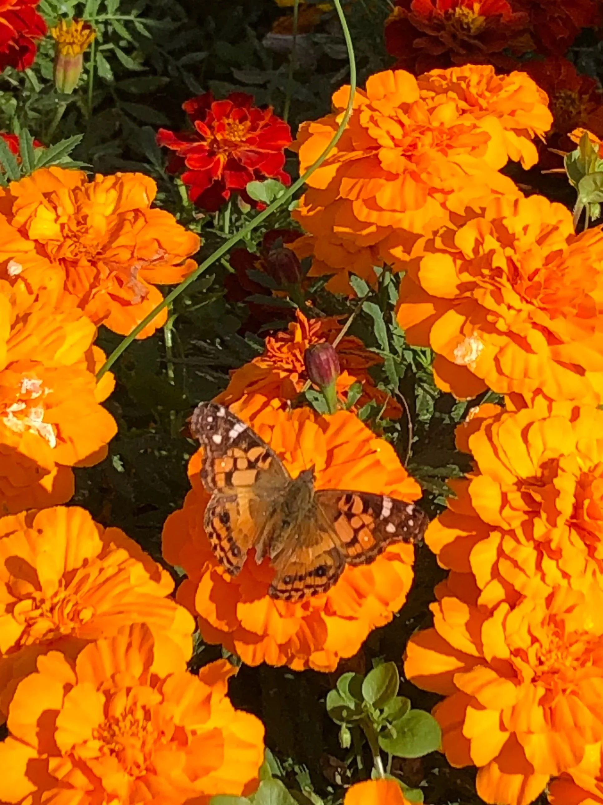 Fall in the Rockaways