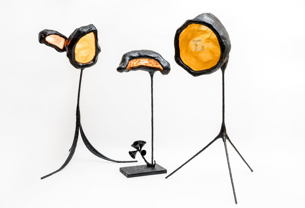 Brecht Wright Gander