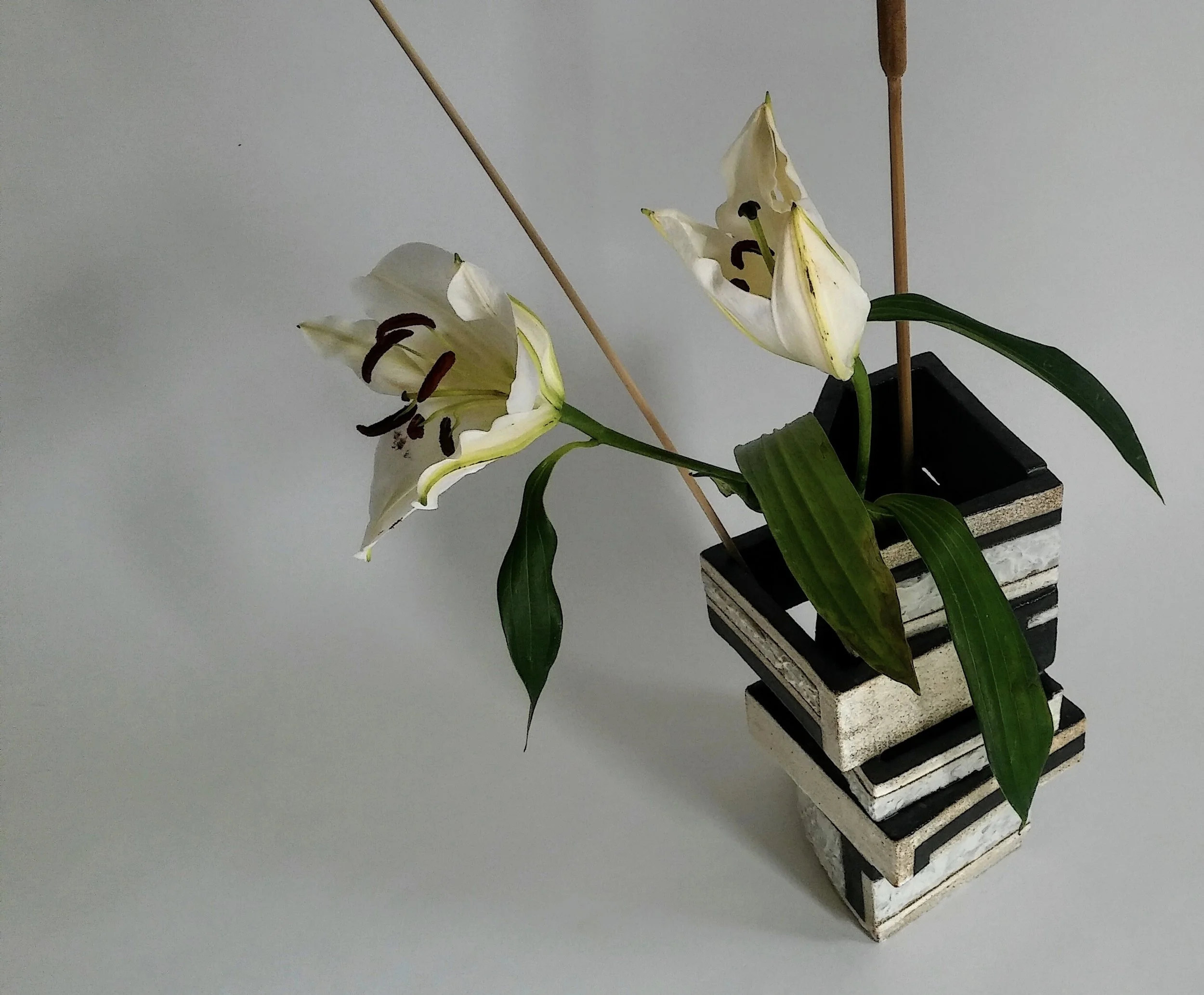 Kathryn Robinson-Millen