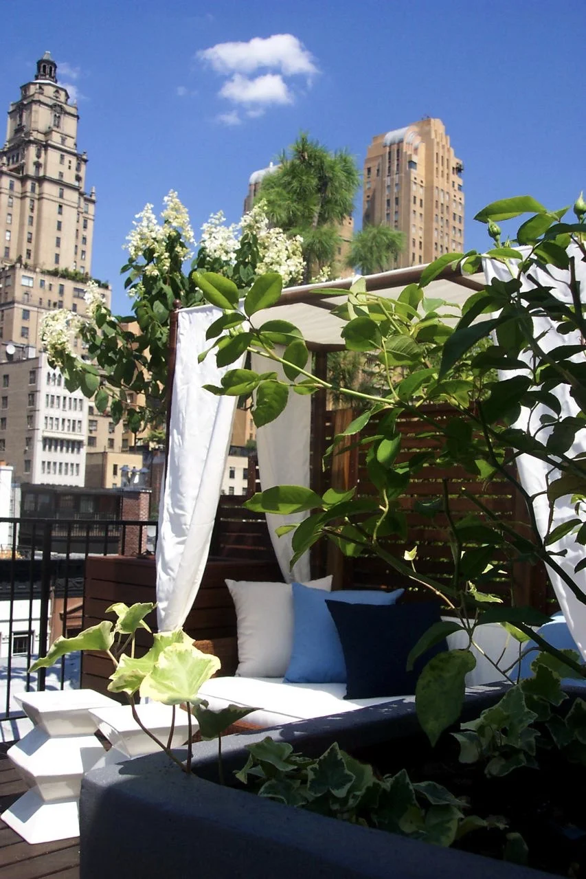 Carl Barnett Design/Studio - Central Park West