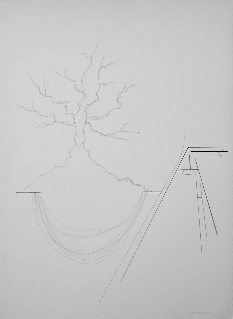 Carl Barnett Design/Studio