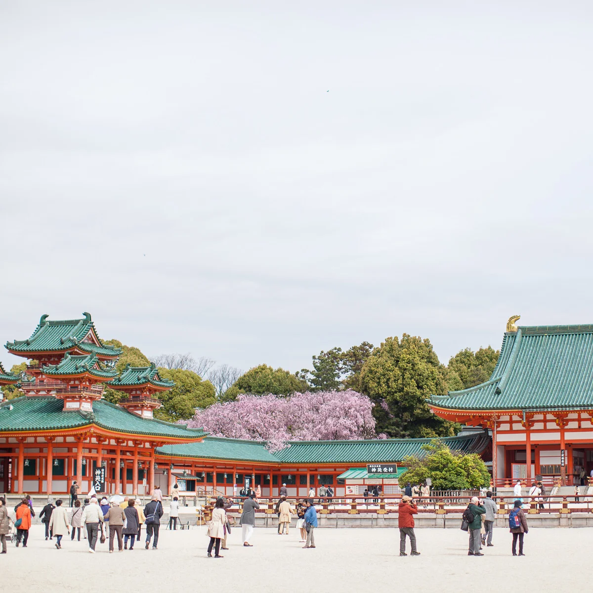 028_Japan.jpg