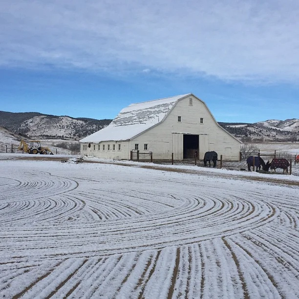 Haven Hills 2015 snow.jpg