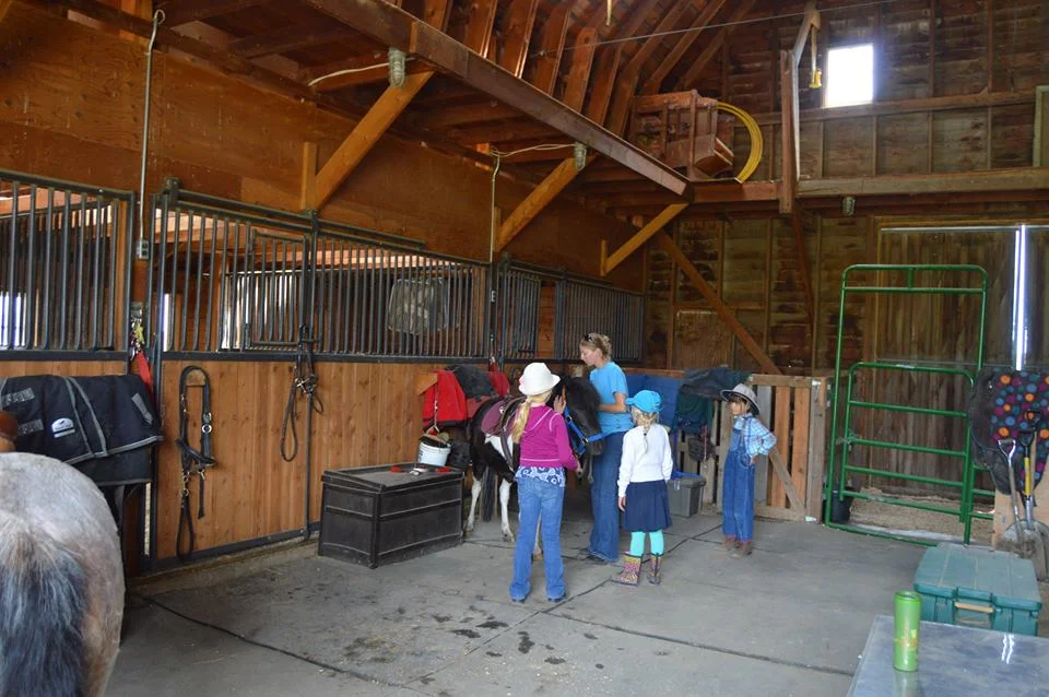 Summer Riding Intensive Week 2