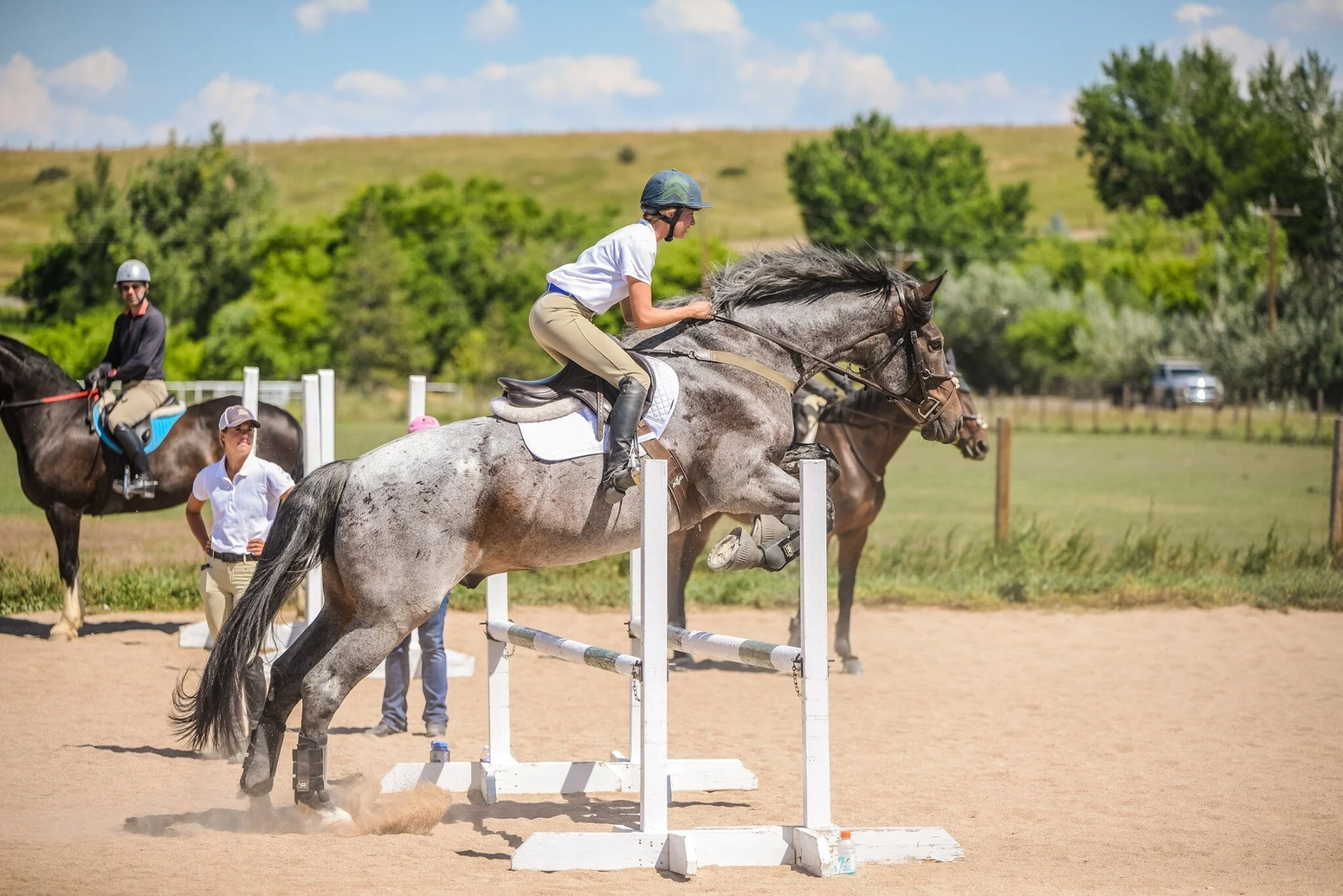 Pretty Position Ellie and Blue.jpg